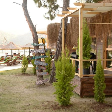 Green Pine Bungalows & Beach Luxury Concept Oludeniz Exterior photo