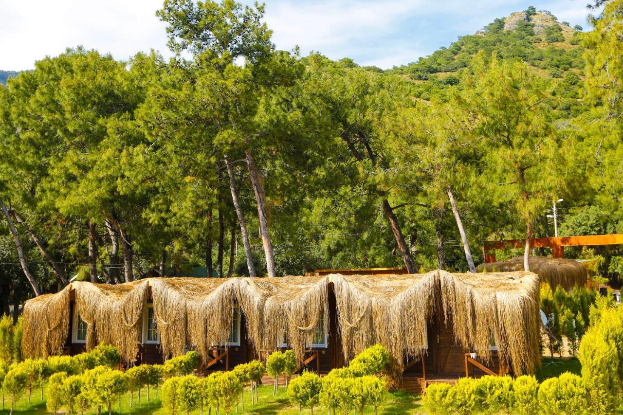 Green Pine Bungalows & Beach Luxury Concept Oludeniz Exterior photo