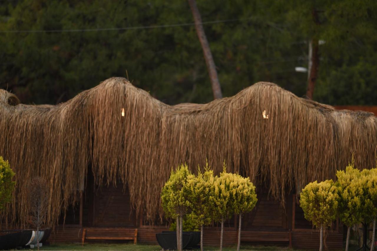 Green Pine Bungalows & Beach Luxury Concept Oludeniz Exterior photo