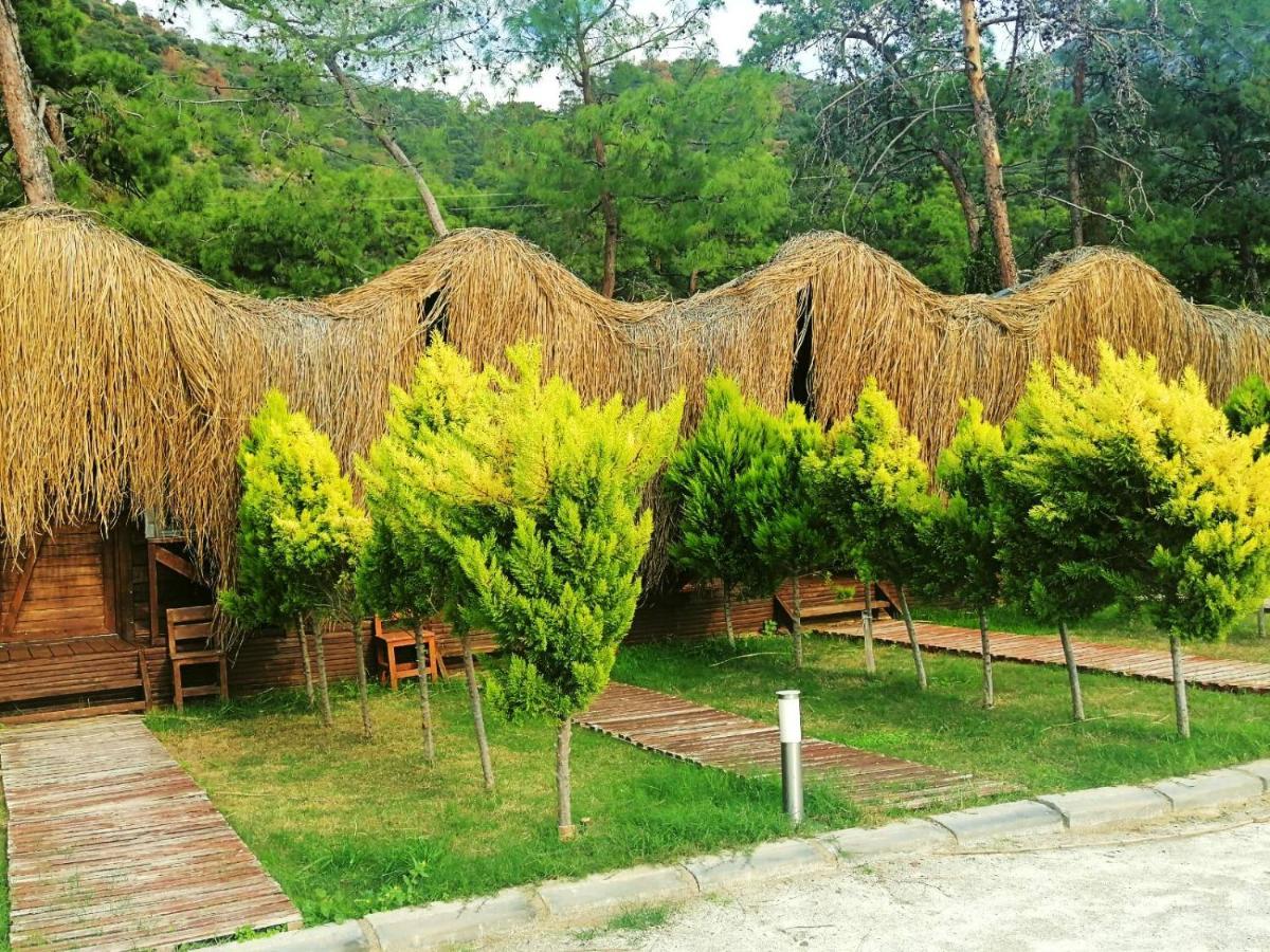 Green Pine Bungalows & Beach Luxury Concept Oludeniz Exterior photo