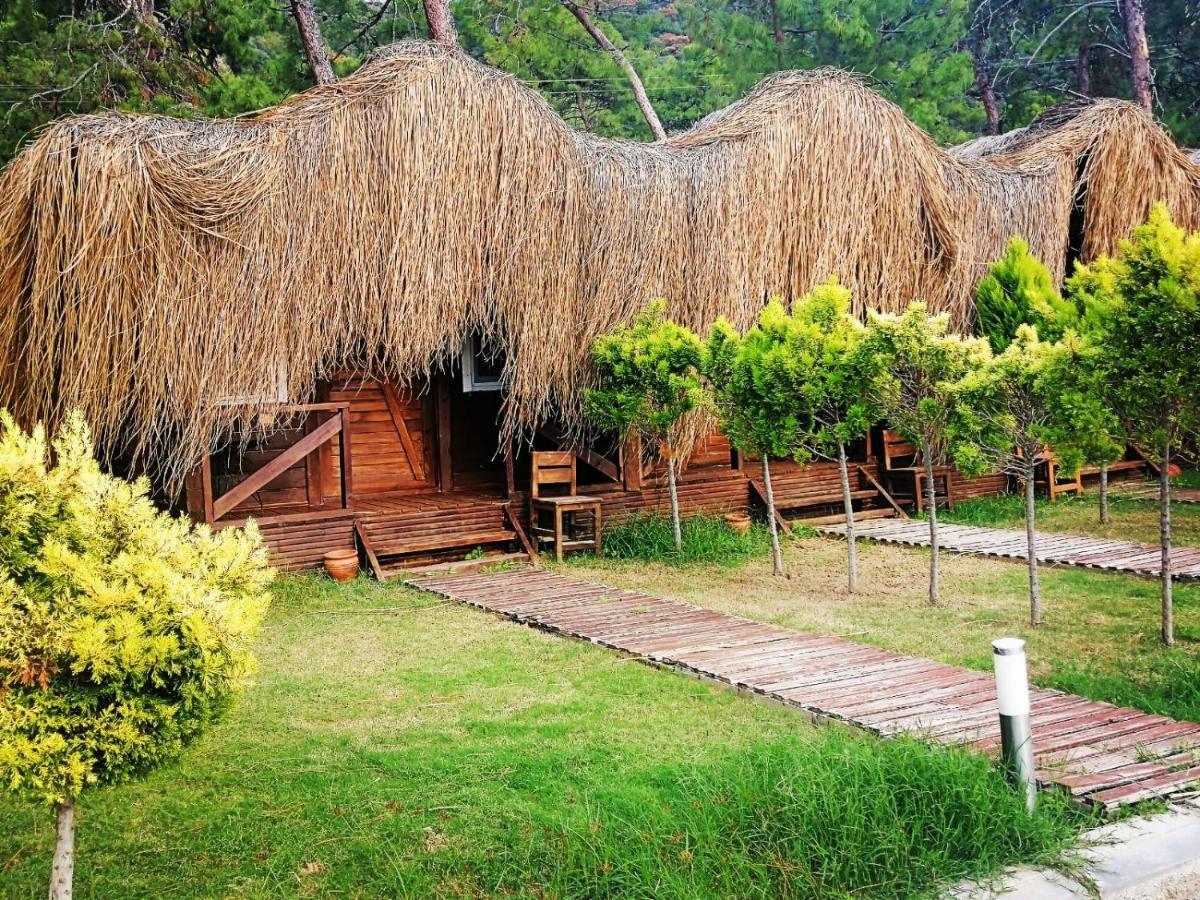 Green Pine Bungalows & Beach Luxury Concept Oludeniz Exterior photo