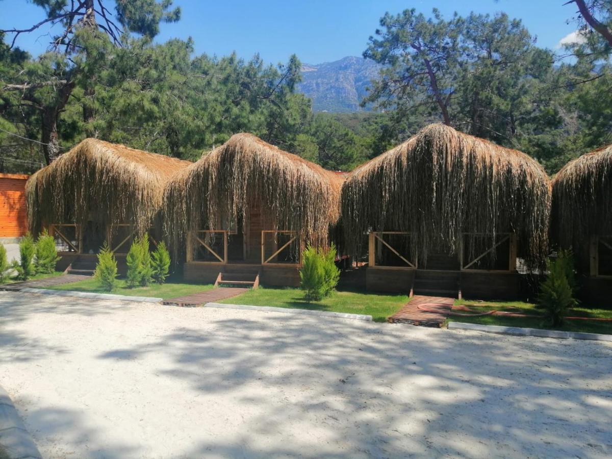 Green Pine Bungalows & Beach Luxury Concept Oludeniz Exterior photo