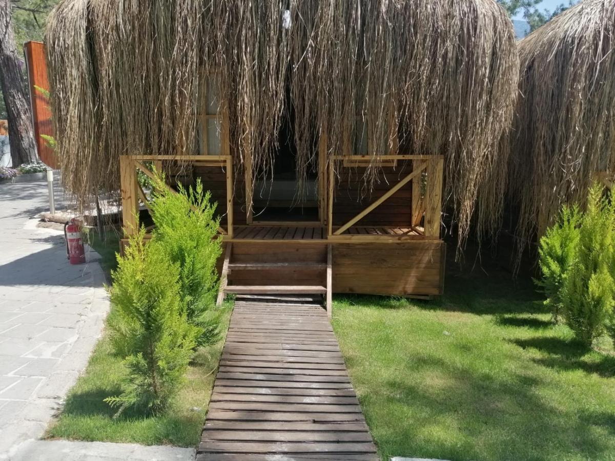 Green Pine Bungalows & Beach Luxury Concept Oludeniz Exterior photo