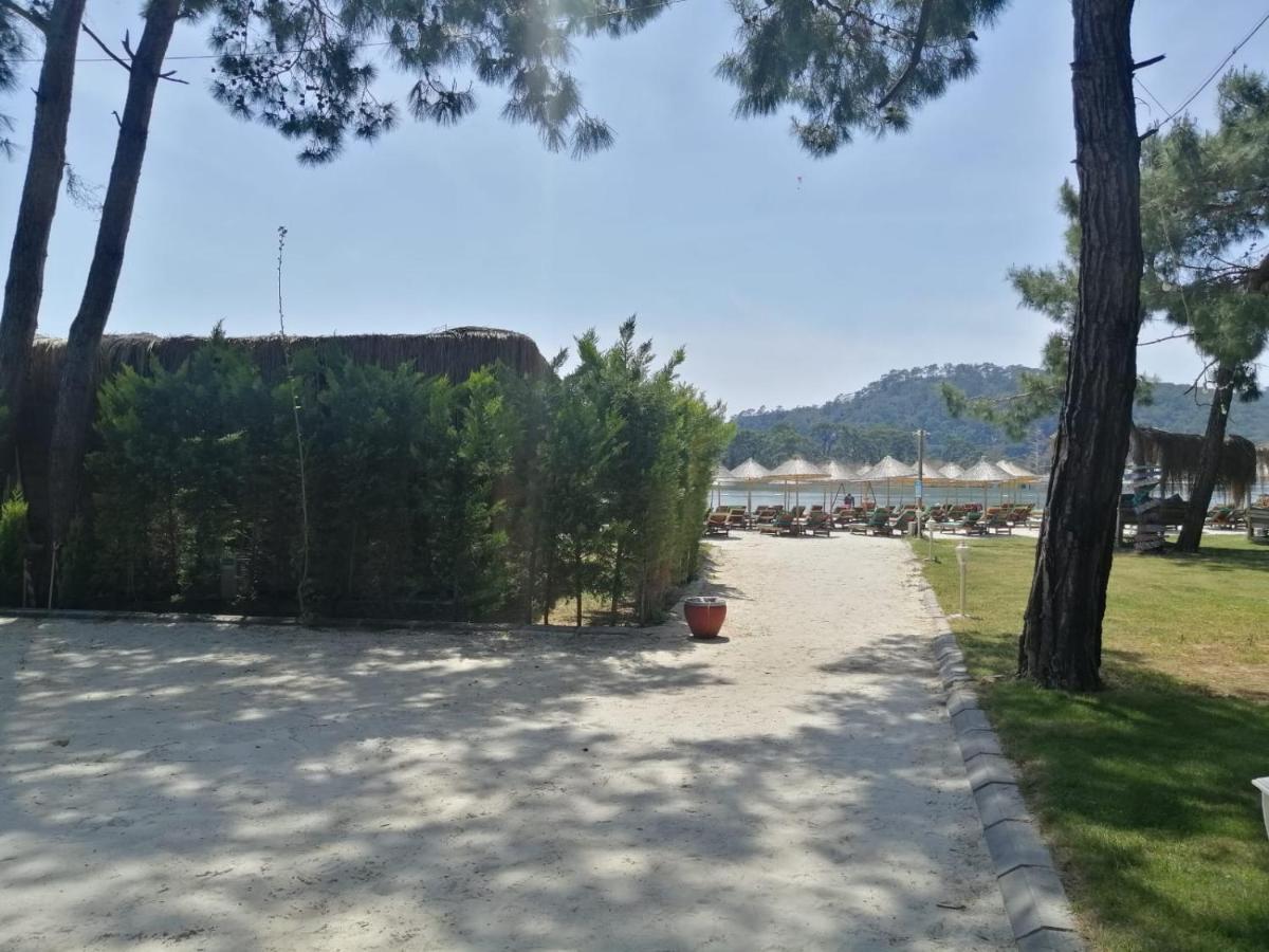 Green Pine Bungalows & Beach Luxury Concept Oludeniz Exterior photo