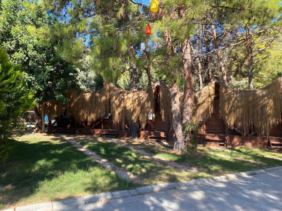 Green Pine Bungalows & Beach Luxury Concept Oludeniz Exterior photo