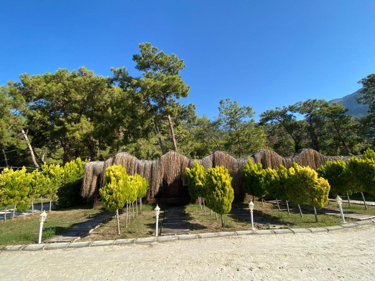 Green Pine Bungalows & Beach Luxury Concept Oludeniz Exterior photo