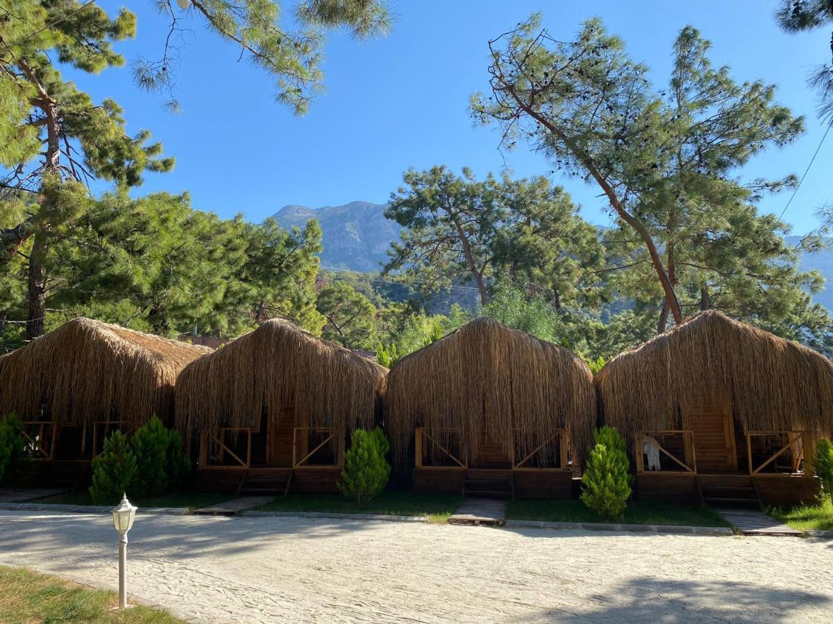Green Pine Bungalows & Beach Luxury Concept Oludeniz Exterior photo